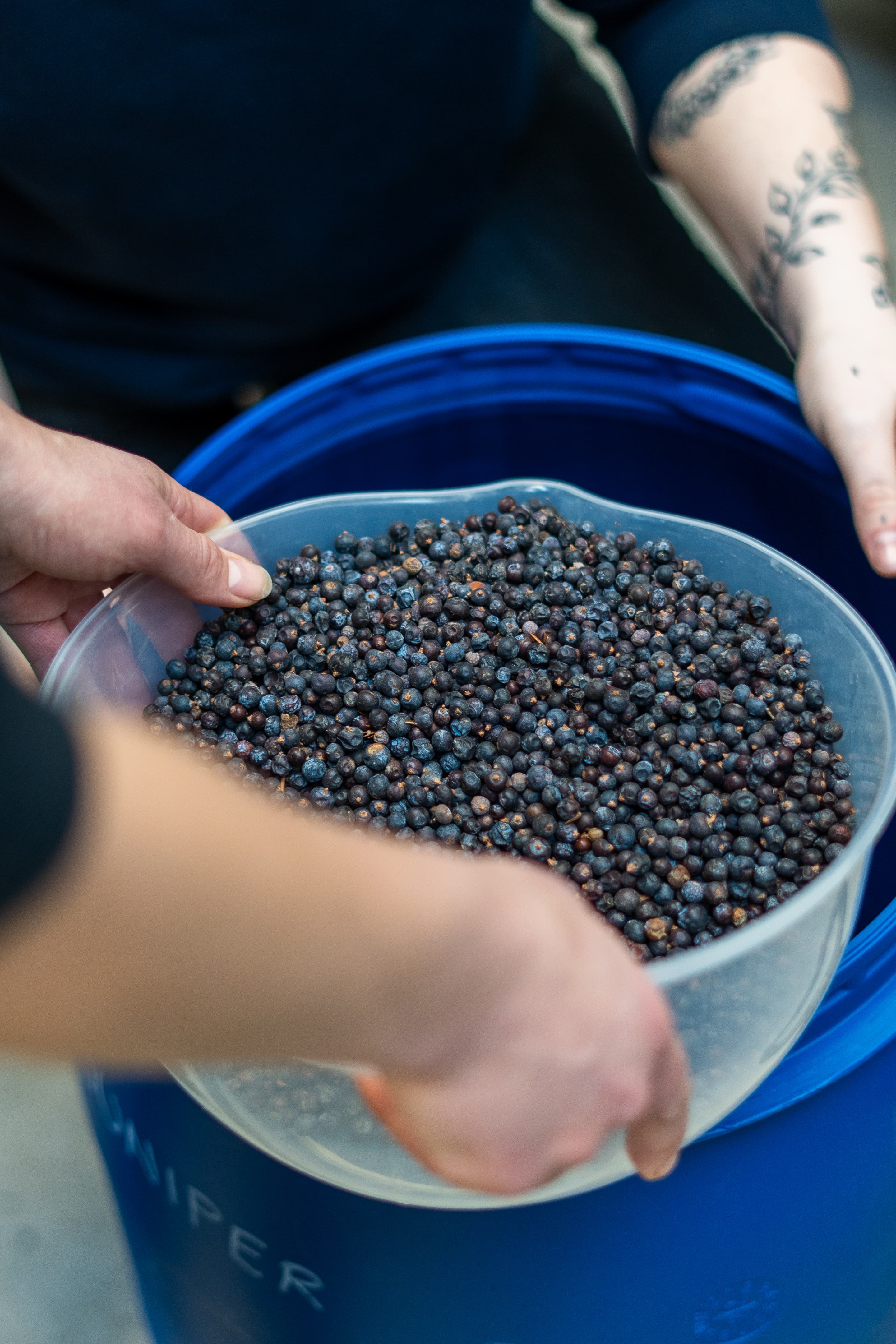 Isle of Bute Gin content day